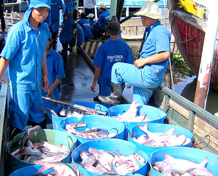 Seafood exports unable to meet annual target - 1