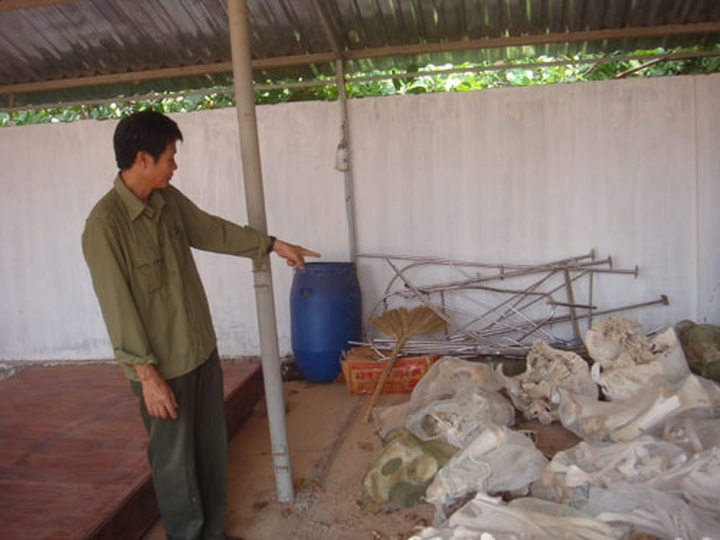 Efforts to help save elephants end in failure - 1