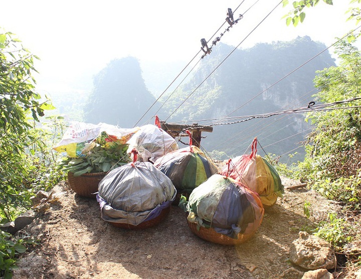 Farmers invent cable car to carry custard apples from mountains - 9