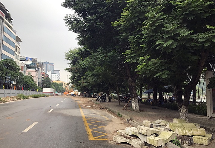 More trees face chop for Hanoi metro - 2