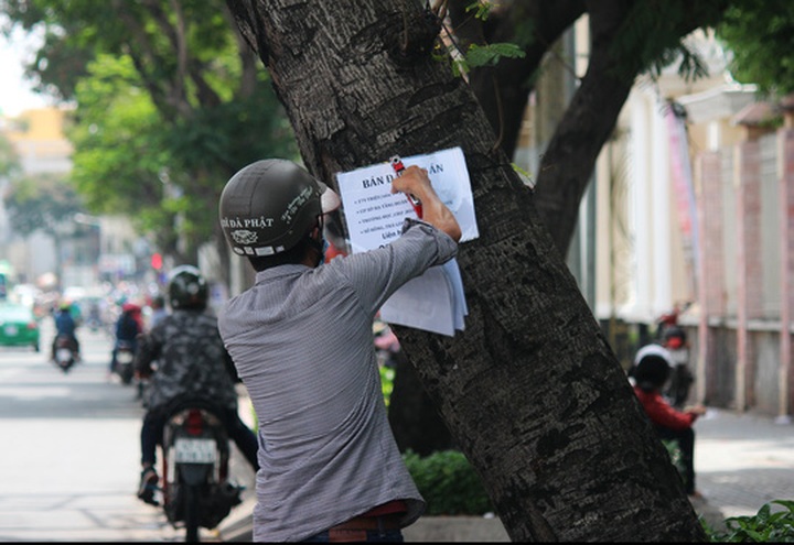 HCM City plastered in illegal advertising - 1 HCM City plastered in illegal advertising - 1