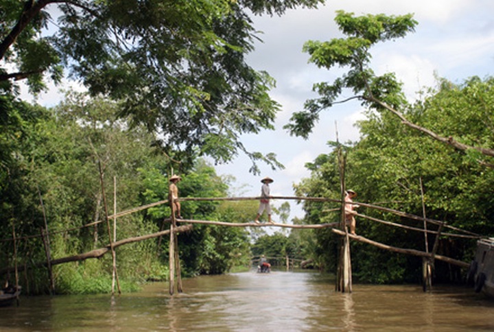 Mekong delta region rated among top ten destinations in 2012 - 3
