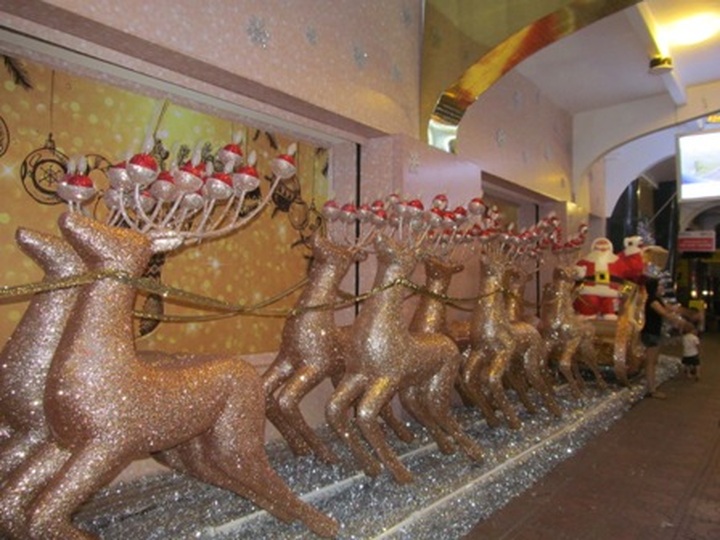 Boisterous Christmas atmosphere in HCM City - 3