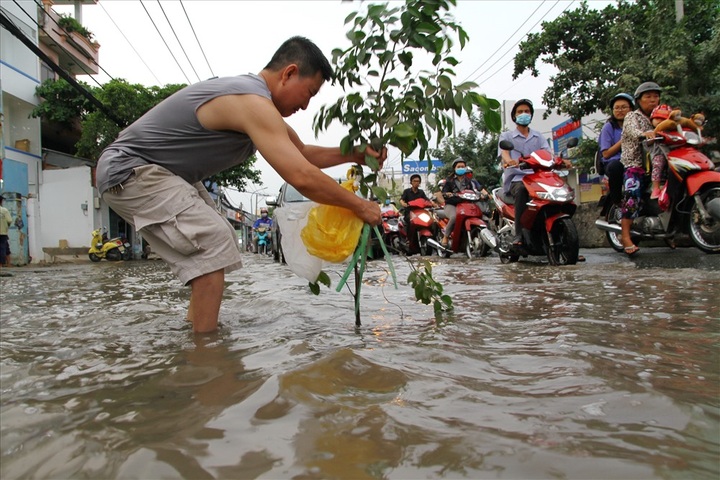 High tides submerge HCM City streets - 2