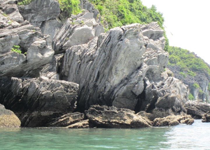 Cat Ba-Long Chau Island bids to become World Natural Heritage Site - 2