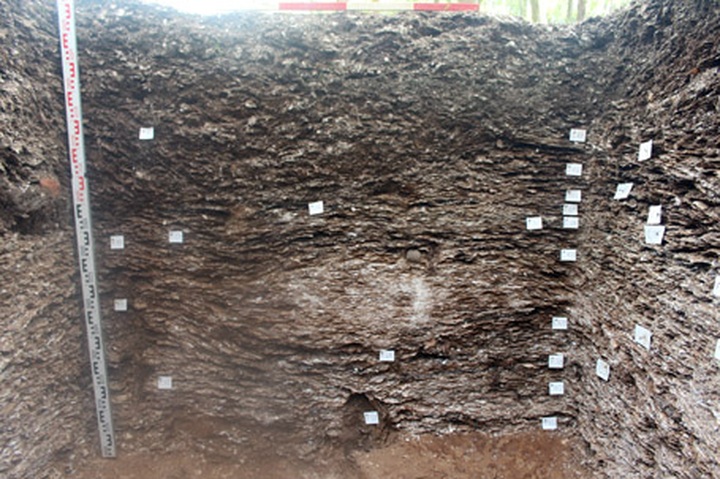 5,000-year-old bones excavated in Ha Tinh - 4