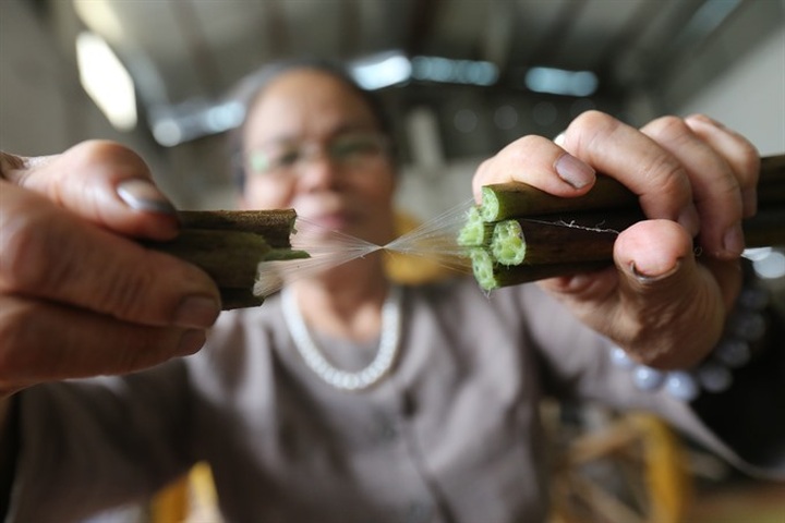 Weaving silk from lotus - 1
