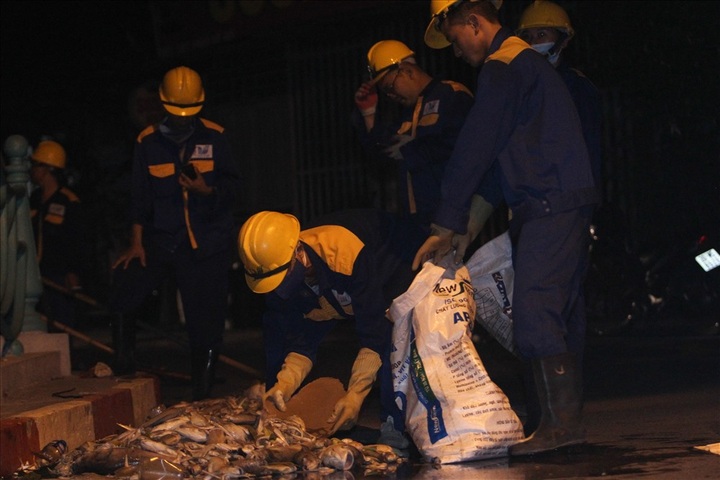 Fish die en mass in West Lake again - 2