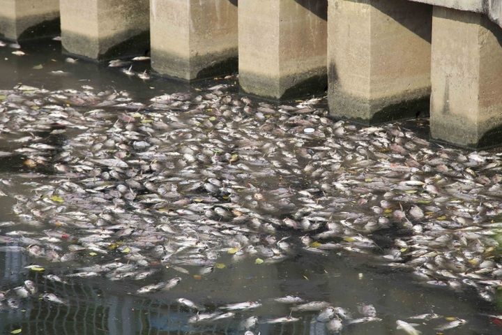Nhieu Loc-Thi Nghe Canal to be drained to prevent pollution - 1
