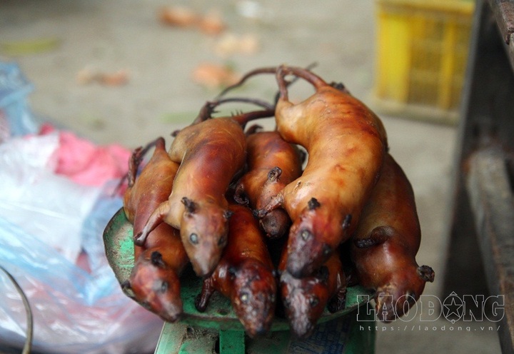 Hanoi farmers earn big during rat hunting season - 3