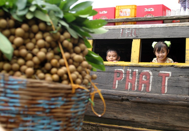 Mekong delta region rated among top ten destinations in 2012 - 5