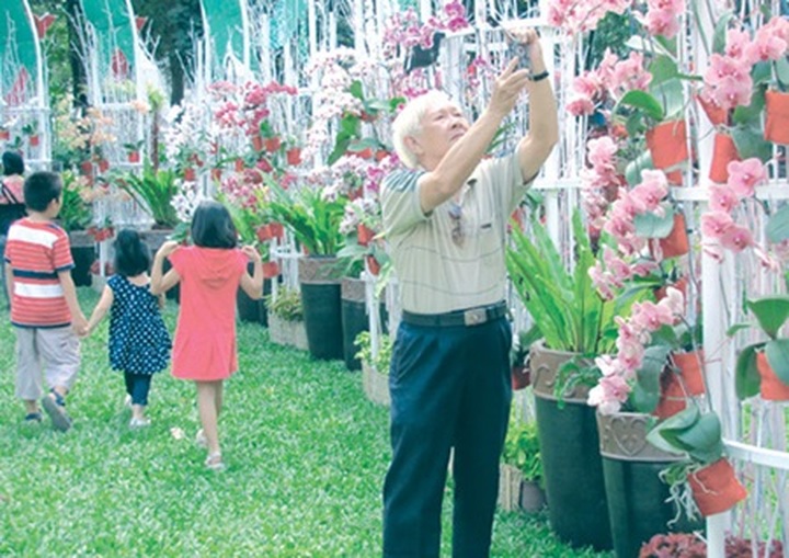 Floral fairs colour HCM City for Tet - 1