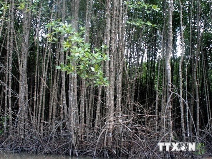 Biodiversity conservation comes under spotlight - 1