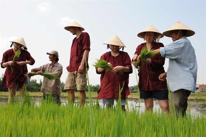 Tours offer glimpse of Hoi An countryside - 4