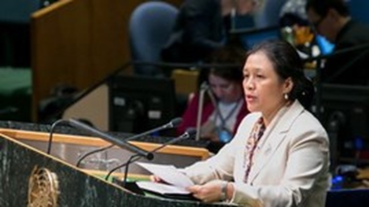 Vietnam respects UN Charter’s principles - 1