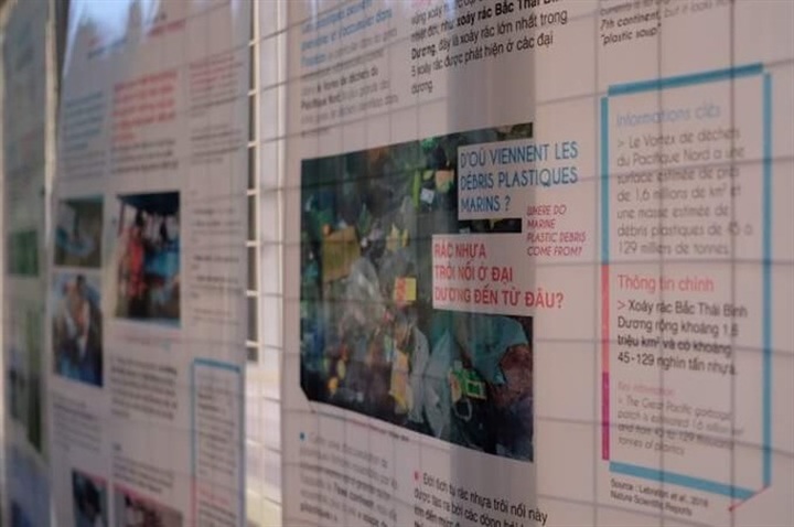 Research on wild lives of plastic on show in Quy Nhon - 1