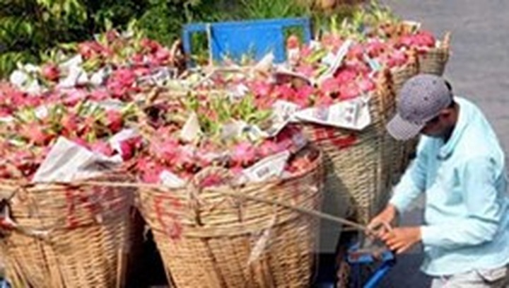 Competitiveness of Vietnam farm produce falling fast - 1