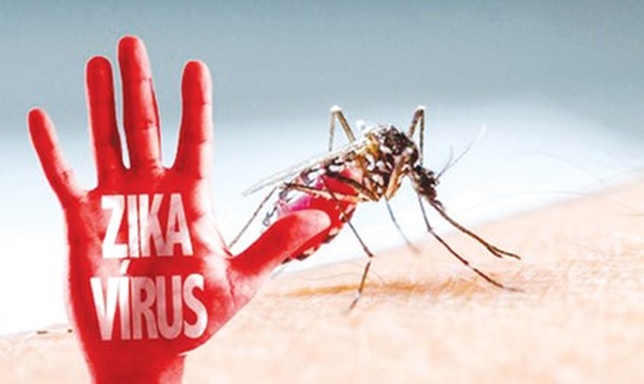 Taiwanese diagnosed with Zika after Vietnam visit - 1