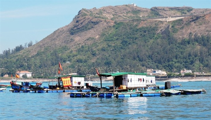 Funds allocated to preserve Lý Sơn Marine Protected Area - 1