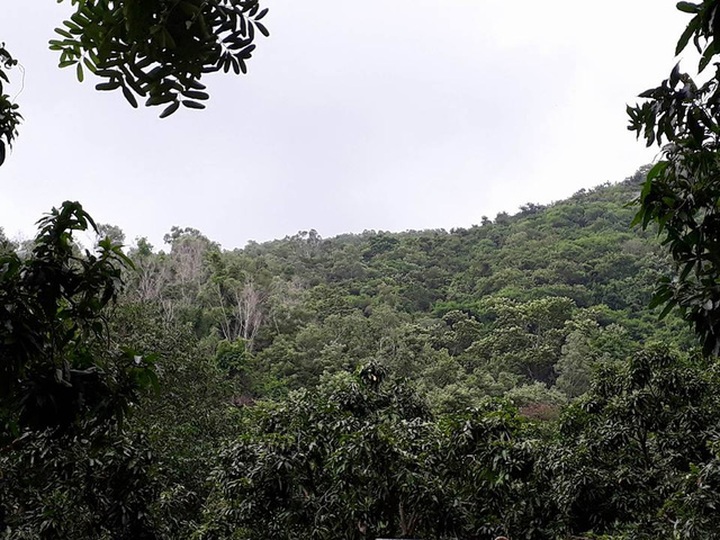 Bodies of crashed helicopter crew found in Ba Ria-Vung Tau - 1