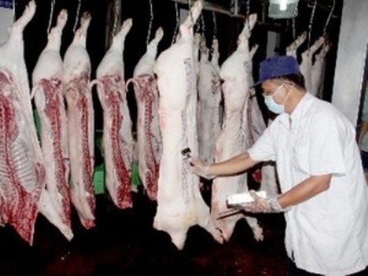 Vietnam struggles to find pork, poultry export markets - 2