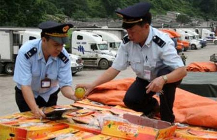 Fruit and vegetable imports fly under radar of inspection - 2