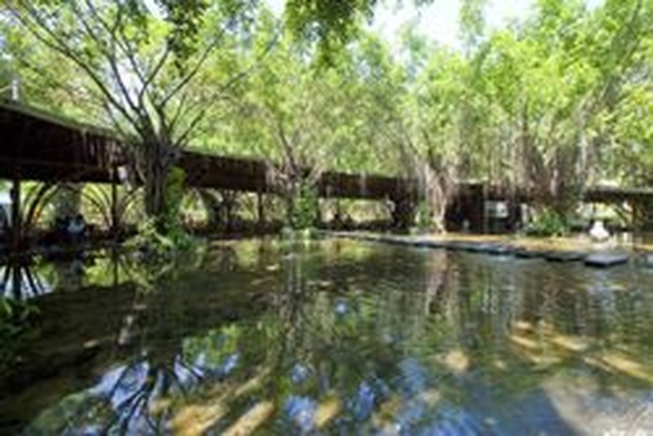 Vietnamese honoured as 21st century architect - 1