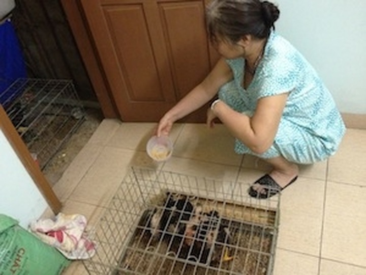 Office workers moonlight during difficult times - 1