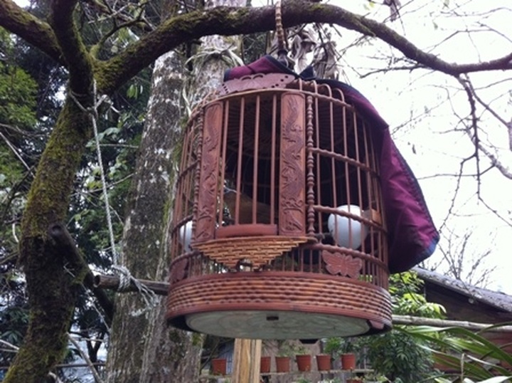 Ornate bird cages from Sapa - 9