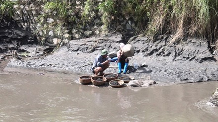 Halong Bay facing environmental pollution after floods - 1