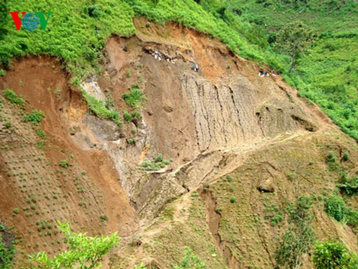 Rare earth minerals illegally stripped in Lai Chau - 1