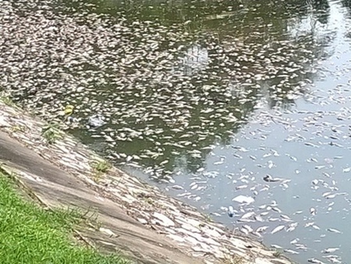 Urgent need for law to control water pollution - 1