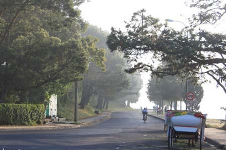 Summer rain turns out Da Lat’s tourist draw - 1