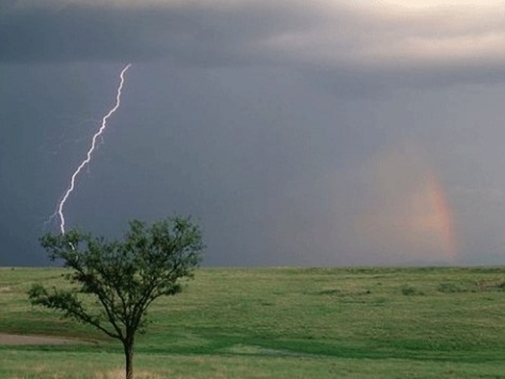 Lightning kills three in Nghệ An and Hà Tĩnh - 1 Lightning kills three in Nghệ An and Hà Tĩnh - 1