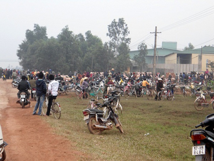 Locals attack pig farm to protest against pollution - 1