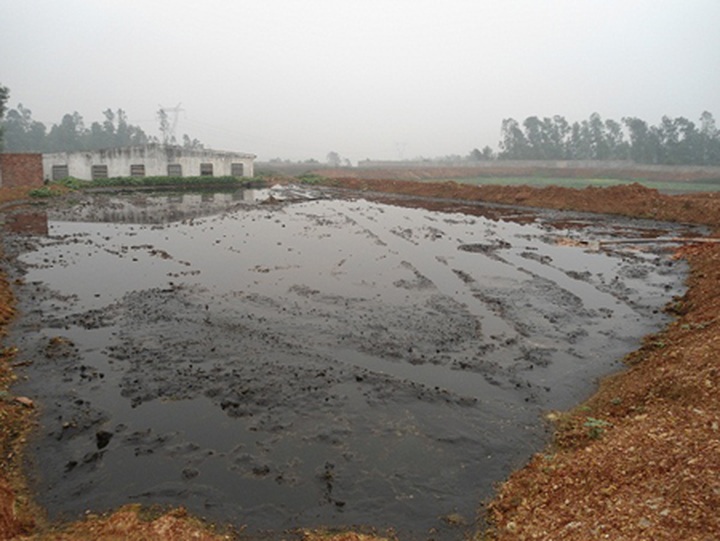 Locals attack pig farm to protest against pollution - 2