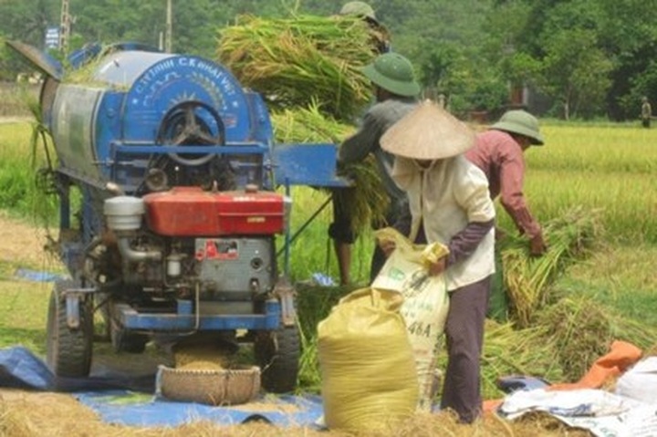 Vietnam’s rice export likely to set record high this year - 1