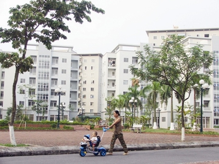 Thriving market for affordable housing forecast this year - 1