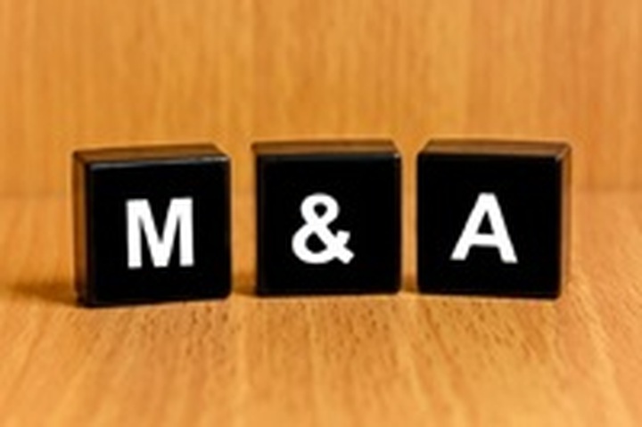 Banking sector reform: M&A boom expected - 1