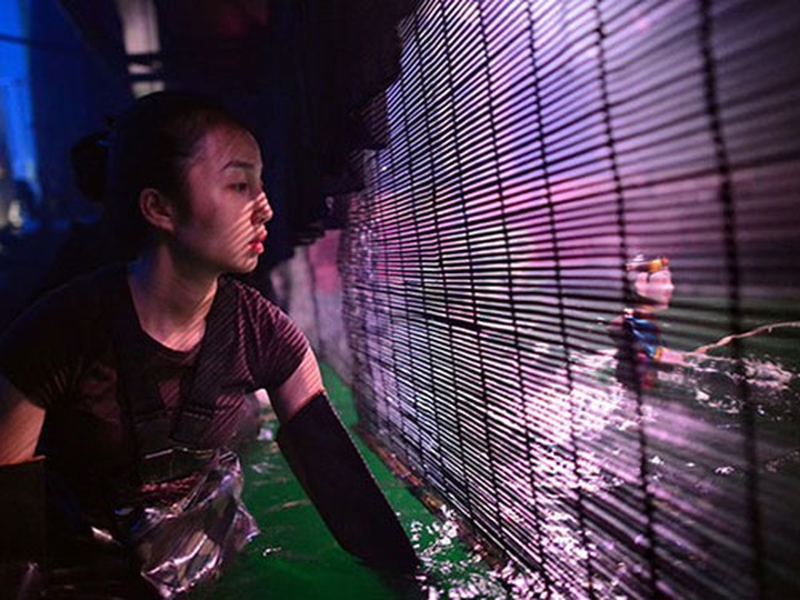 Water puppetry remains a tourism success - 2