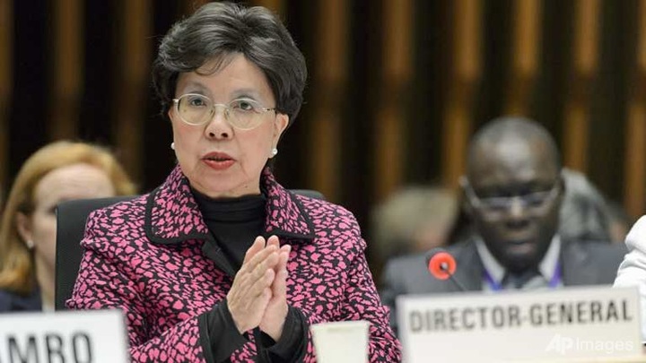 Zika virus 'spreading explosively': WHO chief - 1