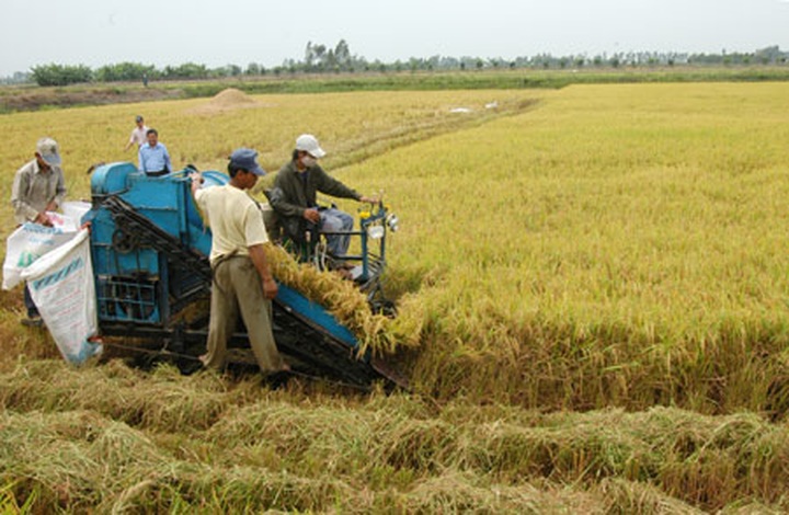 HCM City identifies five key sectors for preferential loans - 1 HCM City identifies five key sectors for preferential loans - 1