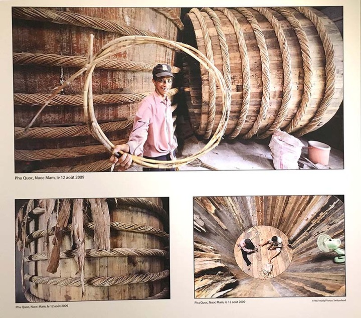 What's on May 14-20 (Daily updated) - 4