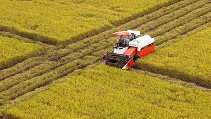 Mekong Delta to receive investment boost - 1