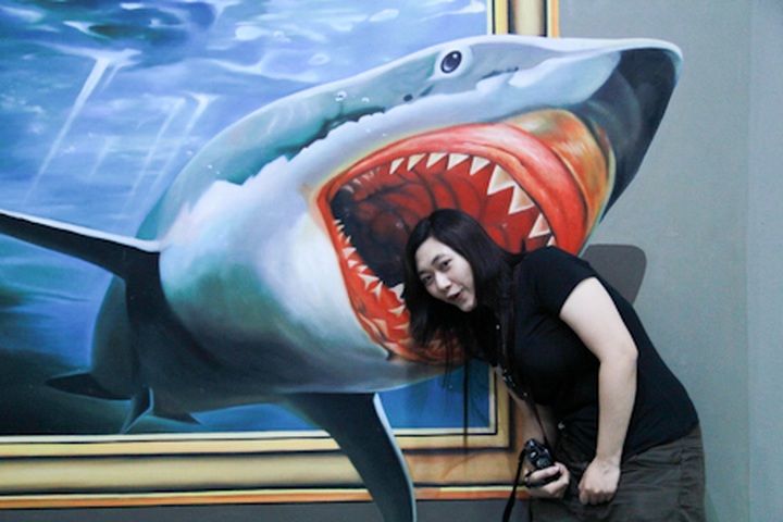 3D trick-of-the-eye picture exhibition opens in Vietnam - 2 3D trick-of-the-eye picture exhibition opens in Vietnam - 2