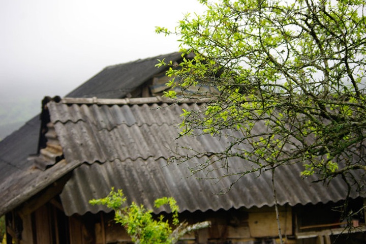 Road to Moc Chau Plateau - 6 Road to Moc Chau Plateau - 6