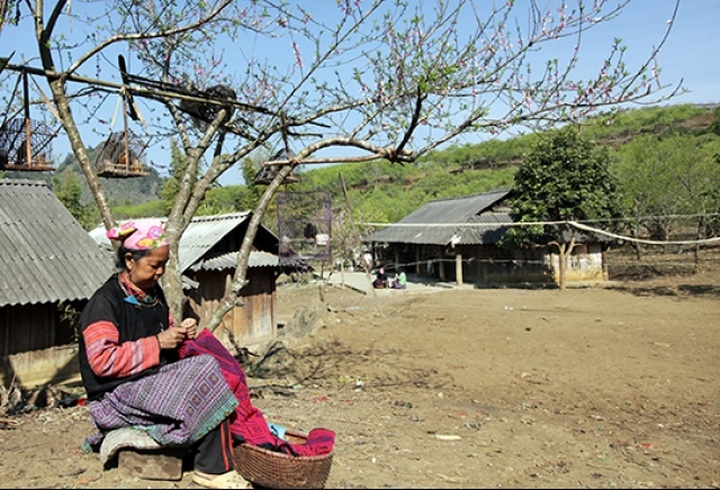 Construction Ministry to review Moc Chau tourism plan - 1