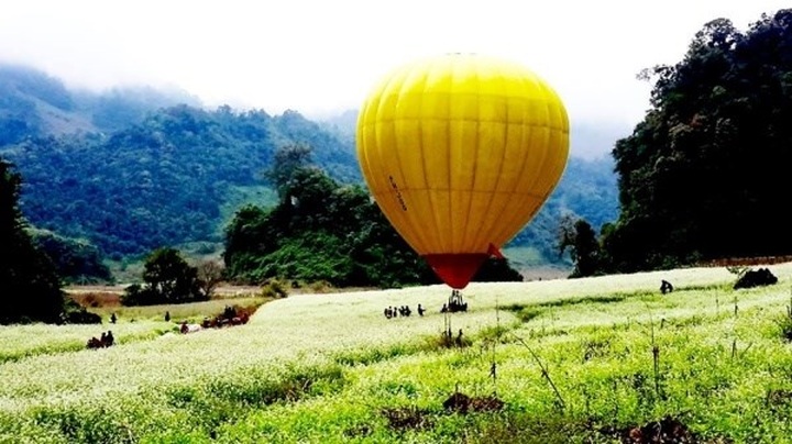 Moc Chau hosts int'l air balloon festival - 1