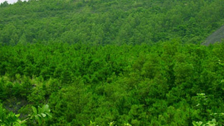 Cuba, Vietnam step up environment cooperation - 1