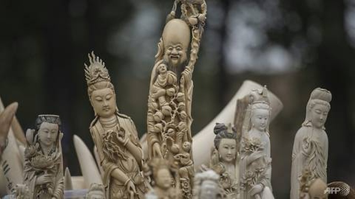 China seizes 156 mammoth tusks in huge ivory haul - 1 China seizes 156 mammoth tusks in huge ivory haul - 1